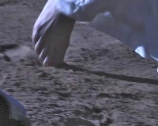 Stella Stevens feet photo thumbnail