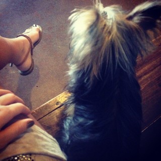 Stephanie Acevedo feet photo 19