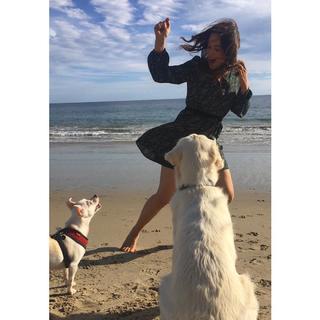 Stephanie Arcila feet photo 5