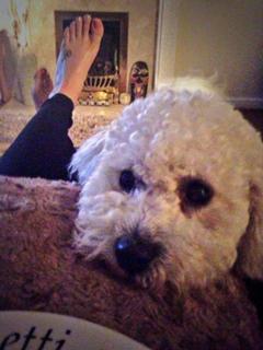 Stephanie Davis feet photo thumbnail