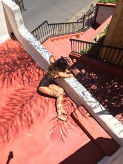 Stephanie Fantauzzi feet photo 8