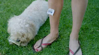 Stephanie Koenig feet photo 4
