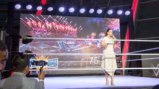 Stephanie McMahon feet photo thumbnail
