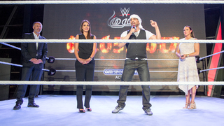 Stephanie McMahon feet photo thumbnail