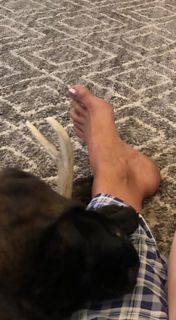 Stephanie McMahon feet photo 4