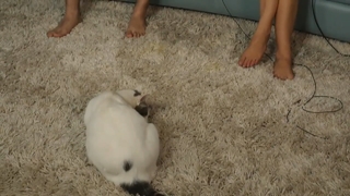 Stephanie Patrick feet photo 11