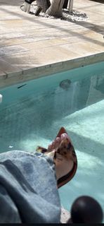 Stephanie Rao feet photo 1