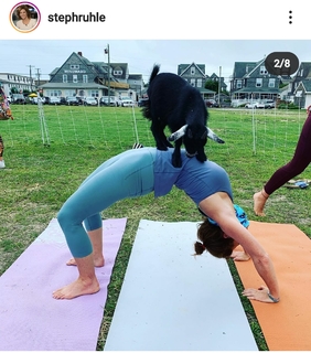 Stephanie Ruhle feet photo thumbnail