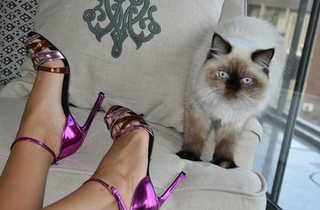 Stephanie Saliba feet photo 2
