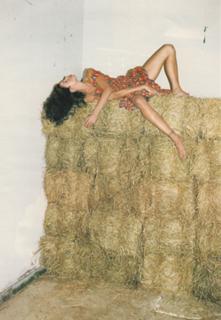 Stephanie Seymour feet photo thumbnail