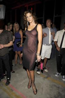 Stephanie Seymour feet photo thumbnail