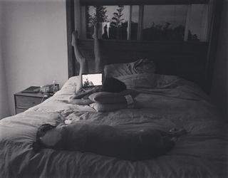 Stephanie Sigman feet photo thumbnail