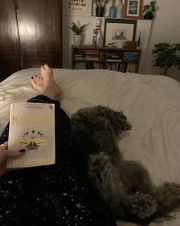 Stevie Martin feet photo 14