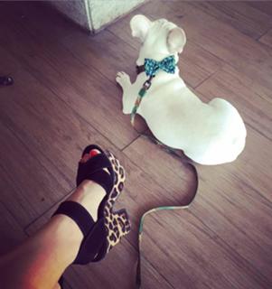 Sthefany Brito feet photo thumbnail