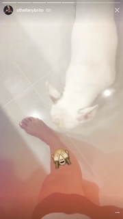 Sthefany Brito feet photo thumbnail