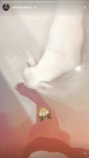 Sthefany Brito feet photo thumbnail