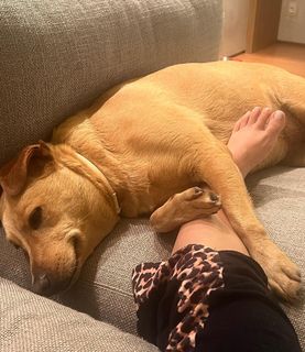 Sthefany Brito feet photo thumbnail