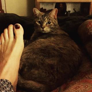 Storm Large feet photo 8