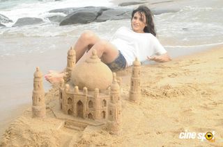 Subhasree Ganguly feet photo 19