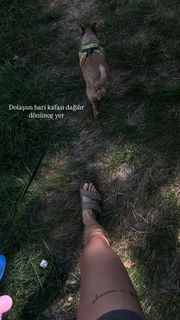 Sude Burcu feet photo 2