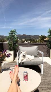 Sugar Lyn Beard feet photo 10