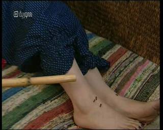 Sulaf Fawakhrji feet photo 19