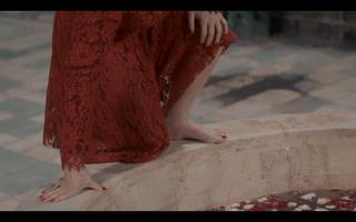 Sulaf Fawakhrji feet photo 19