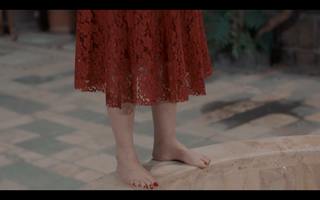 Sulaf Fawakhrji feet photo 17