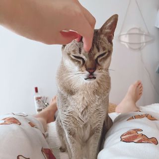 Sumire Uesaka feet photo thumbnail