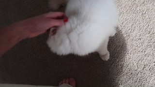 Summer McKeen feet photo 9