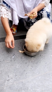 Sunanda Sharma feet photo thumbnail