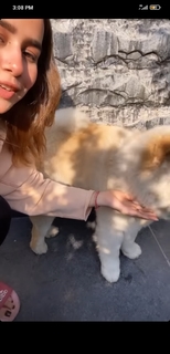 Sunanda Sharma feet photo thumbnail