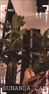 Sunanda Sharma feet photo thumbnail