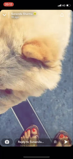 Sunanda Sharma feet photo thumbnail