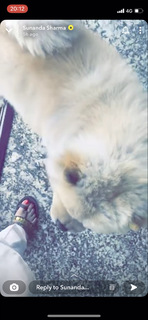 Sunanda Sharma feet photo thumbnail