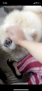 Sunanda Sharma feet photo thumbnail