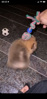 Sunanda Sharma feet photo thumbnail