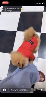 Sunanda Sharma feet photo thumbnail