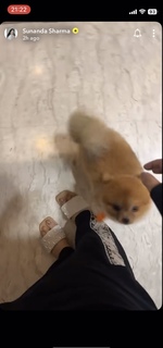 Sunanda Sharma feet photo thumbnail