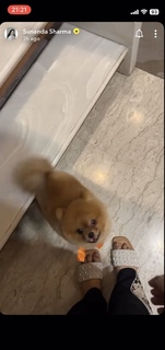 Sunanda Sharma feet photo thumbnail