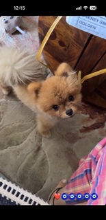 Sunanda Sharma feet photo thumbnail