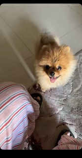 Sunanda Sharma feet photo thumbnail