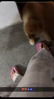 Sunanda Sharma feet photo thumbnail