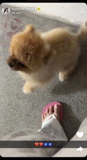 Sunanda Sharma feet photo thumbnail