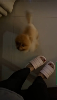 Sunanda Sharma feet photo thumbnail