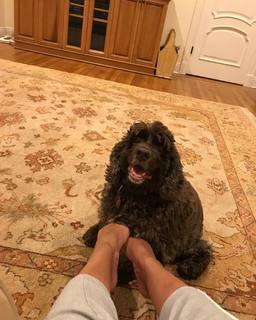 Sunny Hostin feet photo 7