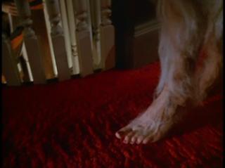 Susan Blakely feet photo 10