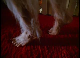 Susan Blakely feet photo 9
