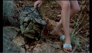 Susan George feet photo 16