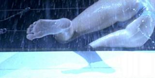 Susan May Pratt feet photo 17